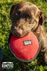 Katie's Bumpers Frequent Flyer Floater