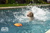 Katie's Bumpers Frequent Flyer Floater