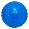 Best Dog Bumpy Ball