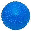 Best Dog Bumpy Ball