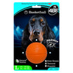 4BF Sports Balls - Basketball (Large)
