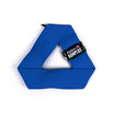 Best Fetch Toy for Dogs Katies Bumpers Frequent Flyer Mini Triangle Square Frisbee Real Firehose Durable Blue