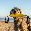 Best Dog KB Double Tug Toy Katies Bumpers Real Durable Firehose Water Training Fetch