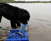 Best KB Heave Hose Fetching Dog Toy