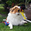 Best Tug-Of-War Dog Toy | 4BF Tugging Bone Small