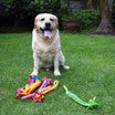 Best Dog Tug Toy | 4BF Tugging Star Medium