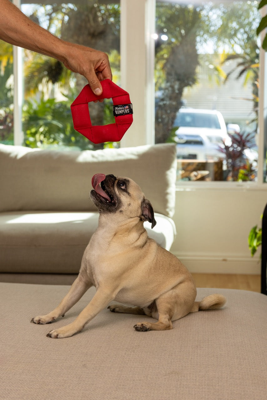 Katie's Bumpers Frequent Flyer Mini Square Best Dog Fetch Toy
