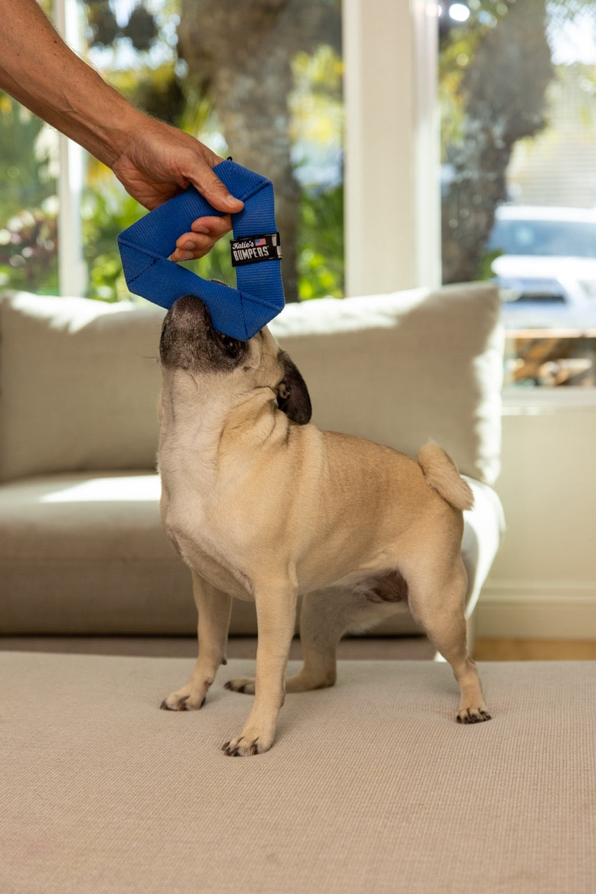 Katie's Bumpers Frequent Flyer Mini Triangle Best Dog Fetch Toy