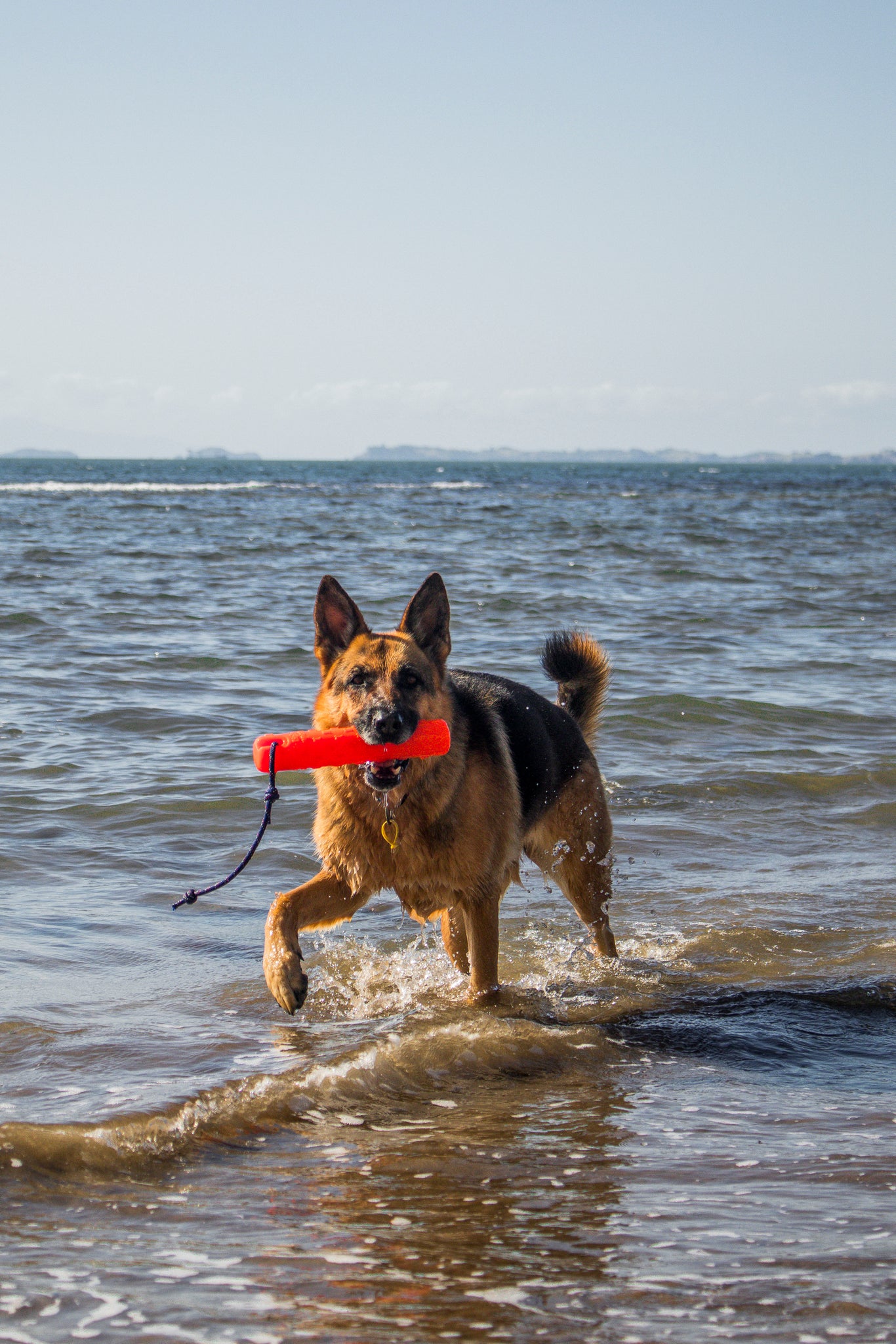 Katie's Bumpers Original Bumper Best Dog Fetch Toy
