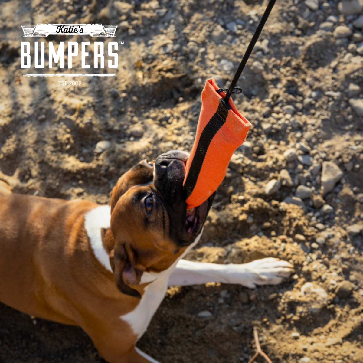 Katie's Bumpers Sqwuggie Rope Best Fetch Toy