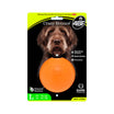 Best Dog Bounce Ball Crazy Large Color Orange