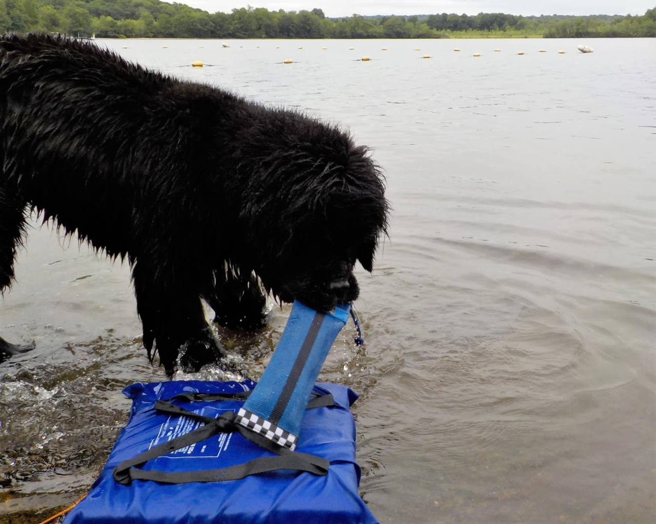 Katie's Bumpers Heave Hose Medium Best Fetching Dog Toy